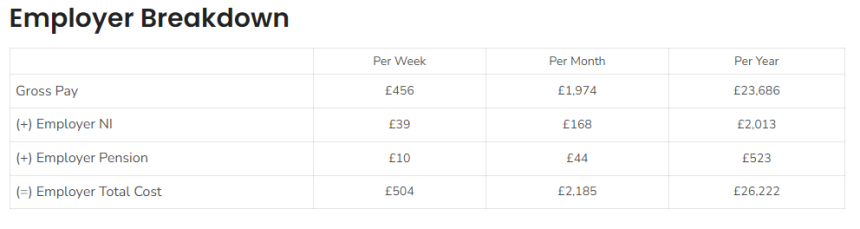 Employer Salary Cost Table